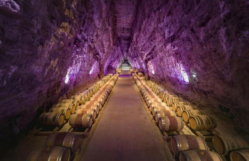 Le Mieukerien - Réserve africaine 15 mn - Plage 200 m - Foto 30