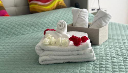 MarteNik Apartment, vicino San Raffaele e Milano - Foto 5, towels