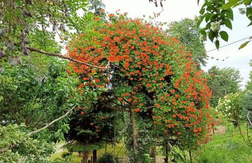 Apartamenty Leszczynowa 7 blisko Zatora - Foto 28