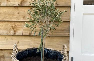 Luxury Boutique retreat, hot tub, dog friendly - Foto 13