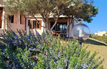 Bellavista, Stintino la pelosa - Foto 17