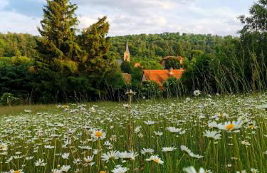 DAS Ferienhaus Waldblick - Foto 34