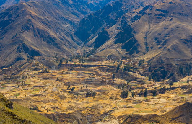 Arequipa & Colca Canyon 4 Day Tour - Photo 2