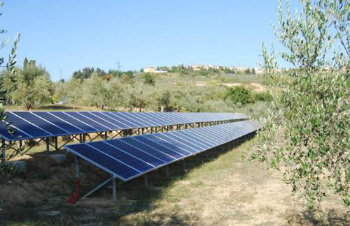 Fattoria Pogni - Foto 76