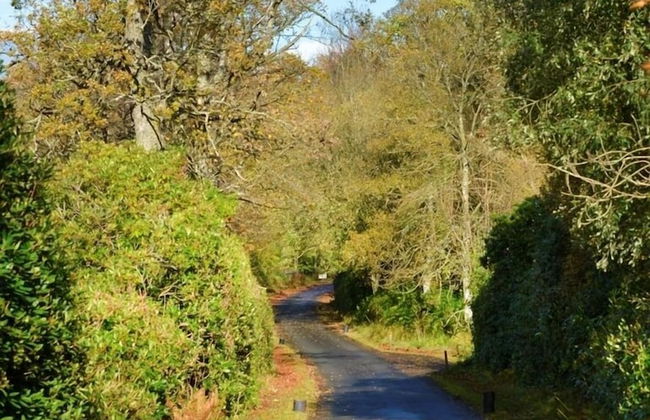 Finnich Cottages - Photo 48