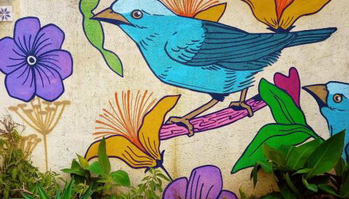 Villa Ágape - Chapada dos Veadeiros - Foto 2