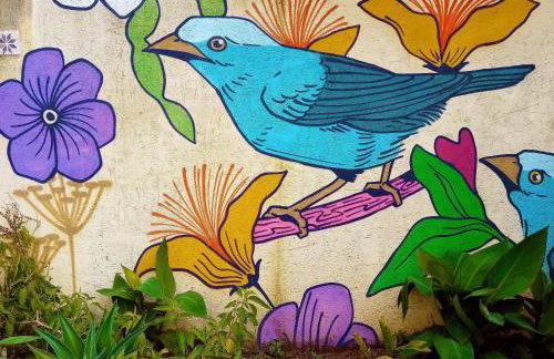 Villa Ágape - Chapada dos Veadeiros - Foto 2