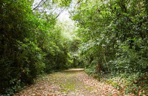 Casa d'Óbidos - Foto 31