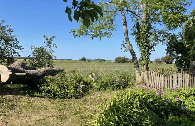 Tribbevitz - Foto 20