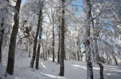 Άγρια Λούλουδα Κατοικία Αρμονία - Photo 56