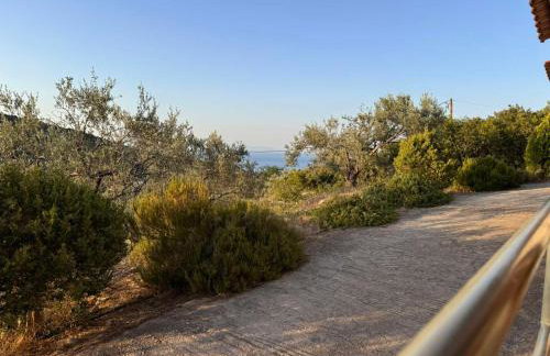 Fousa Home - Foto 18