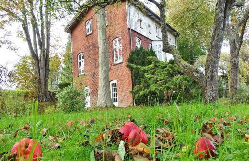 Ferienunterkünfte Wassermühle - Foto 34