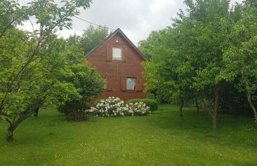 Szyszka i Róża Domek na Jurze - Foto 14