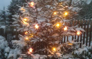 Ferienwohnungen Hering - Foto 25