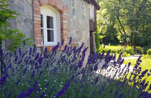 Dom Jesionów - Foto 73