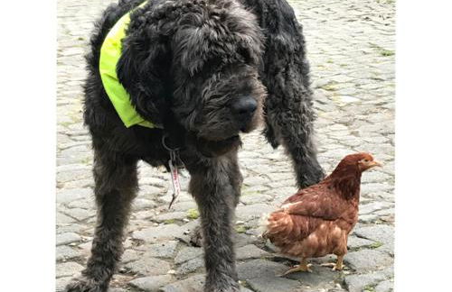 Bauernstube Scheidterhof - Foto 15