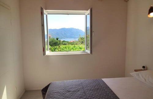 Stone house in vineyard - Photo 16