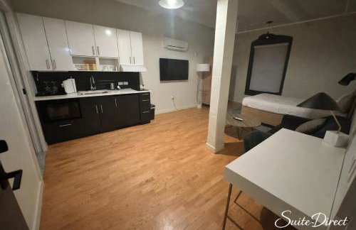 Pratt St Brand New Studio Loft Elevator Building - Foto 25