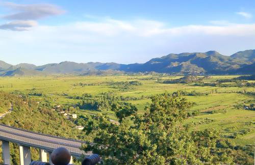 Apartman Maslina - Foto 8