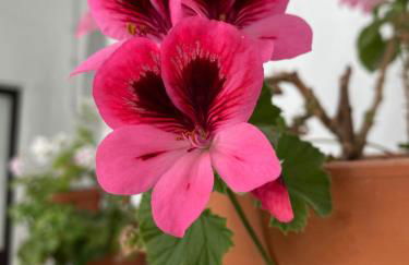 CasaElbarranko - Foto 12