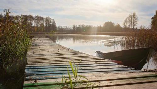 Maly Domek Zalesie - Foto 5