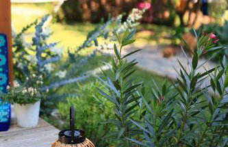 Chambre d'hôtes cosy Le Chalet -Tarn - Foto 26