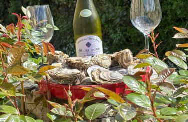 Location en bordure du Trieux - Foto 27