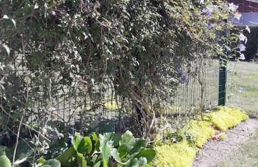 Aux couleurs de la Baie à Sailly-Bray - Foto 32