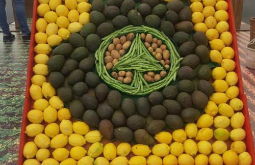 Casa Reyes Fataga - Foto 28