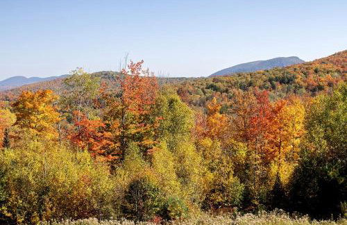 Charming Cabin Rental Perfect for an Adirondack Getaway - Foto 32