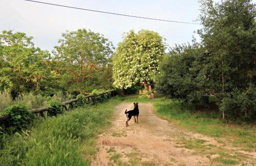 Masia Sagués - Foto 22