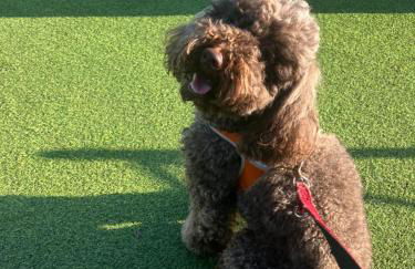 Casale el galet - Foto 70