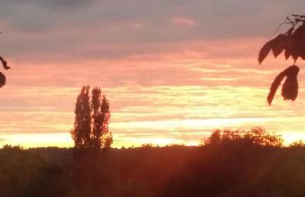 HDC la maison des AMIS - Foto 8