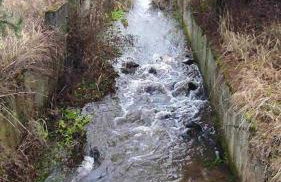 Dom za wydmą - Foto 76