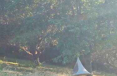 Maison à l'ancienne avec grand terrain , animaux bienvenus - Foto 74