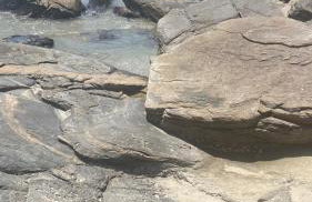 Casa das Gaivotas - Foto 3