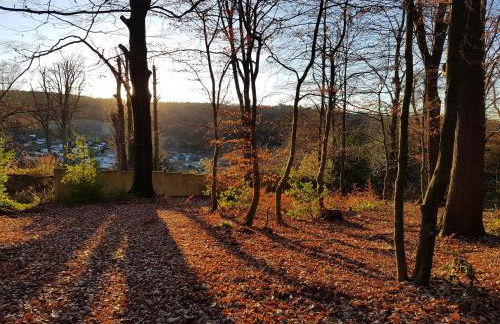 1Step2AllNature Tinyhouse - Foto 65