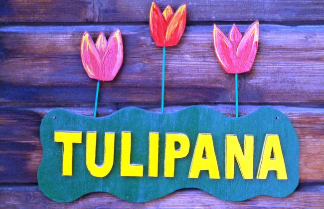 Tulipana Berther - Foto 2