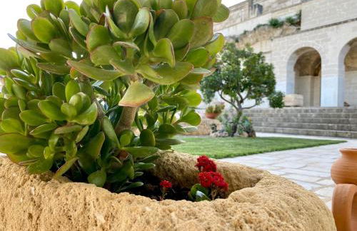 MASSERIA FRANTELLA - Foto 13