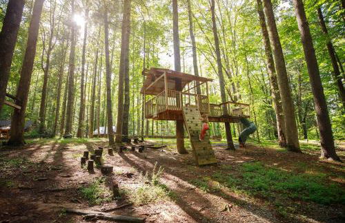 Bird's Nest cabin at Cabin Fever in NC - Foto 14