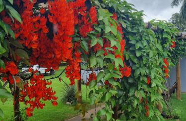 Chácara Cantinho dos Sonhos - Foto 51