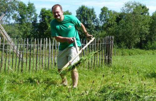 Schauerhof - Photo 8