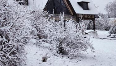 Les Délices de la Vie - Foto 3