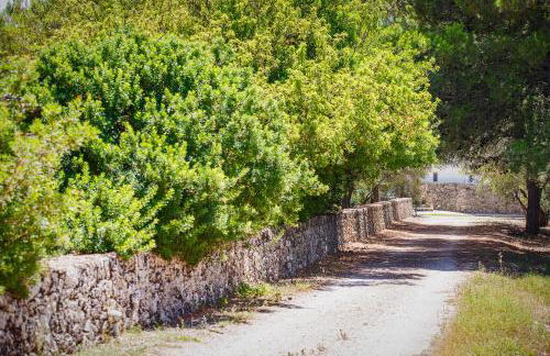Torre Casciani - Foto 26