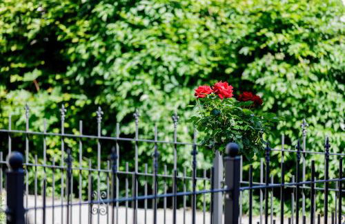 Haus am Mühlenweg - modern und lichtdurchflutet - Foto 16