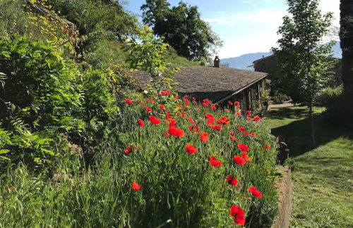 Podere Porcino - Foto 53