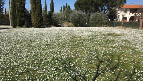 Casa dei Tigli - Foto 4