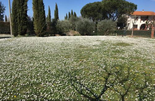 Casa dei Tigli - Foto 4