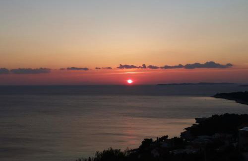 Penthouse Ema - Photo 13