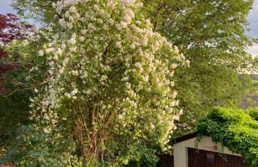 Bei uns im Allgäu - Ferienwohnungen für Erholung und Aktivität - Foto 52